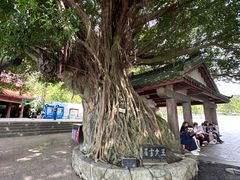 -神光山国家森林公园