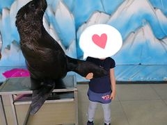 -米果果小镇