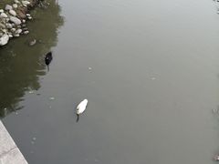 -北京麋鹿生态实验中心