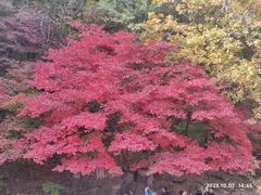-关门山森林公园