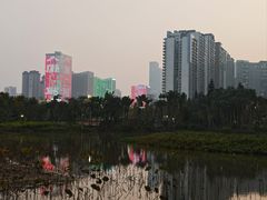 -中澳友谊花园