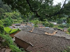 -杨家堂村