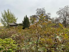 -迎泽公园
