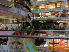 -福田卓悦INTOWN购物中心