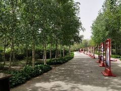 -群力丁香公园