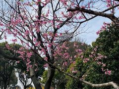 -石湖景区