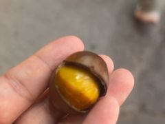 -杨记板栗(天虹总店)