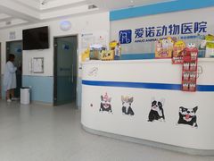 -爱诺动物医院(崂山店)