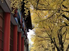 -四川大学(华西校区)