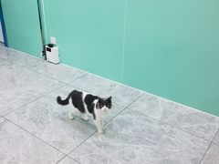 -全心全意连锁动物医院(石景山店)