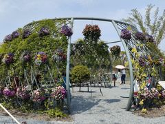 -上海植物园-4号门售票处