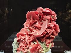 -湖南省地质博物馆