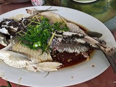-天强农家菜馆