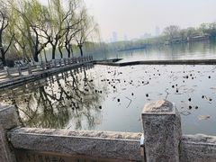 -济南大明湖景区