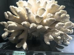 -天津自然博物馆