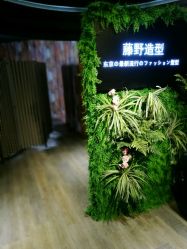 点击看大图 -藤野造型