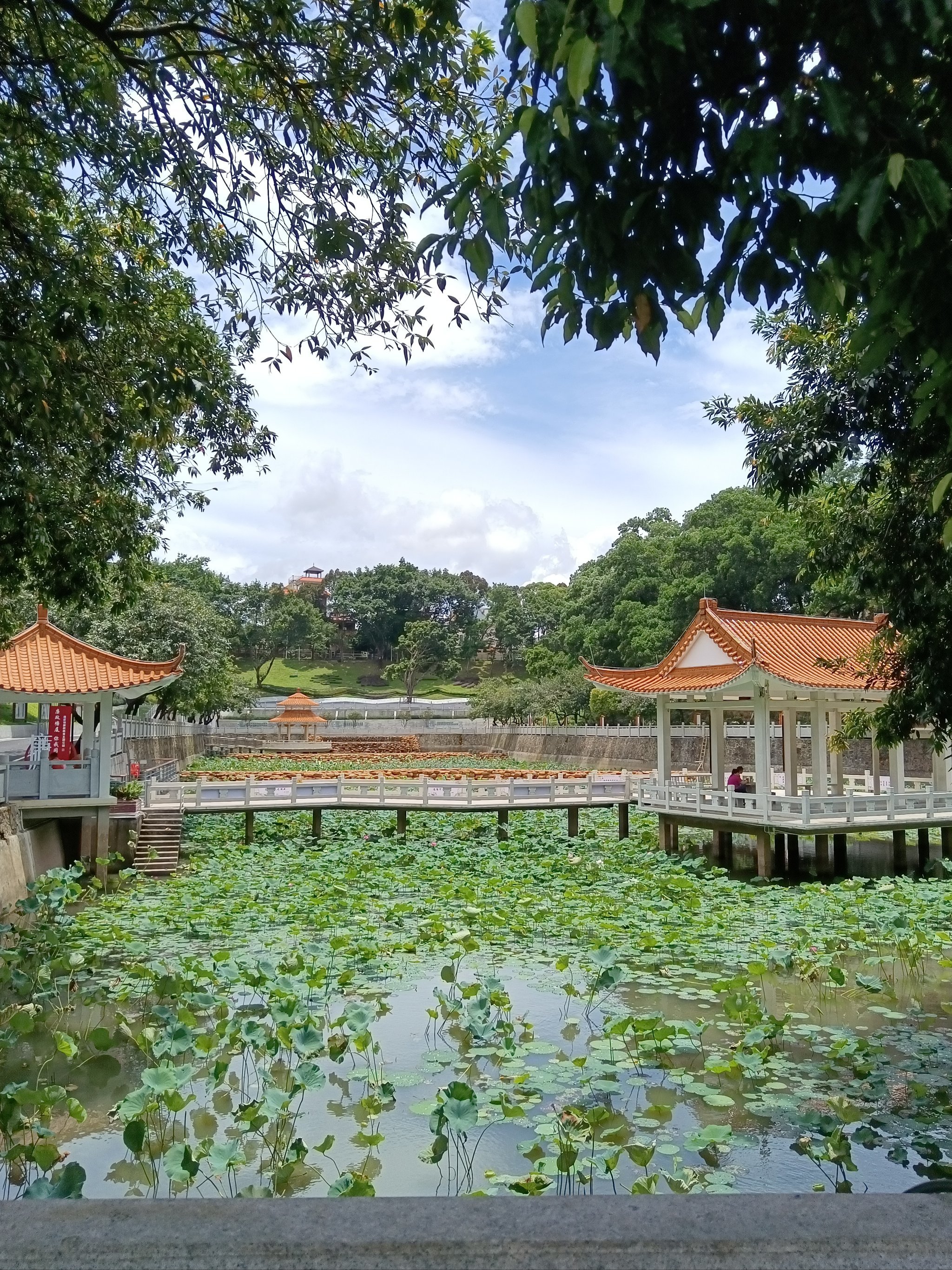 塘厦消防主题公园适合溜娃,约会,运动的好地方