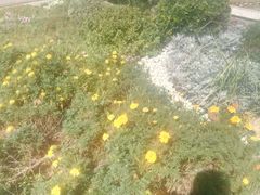 -贮水山儿童公园