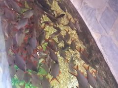 android_upload_pic-郑州海洋馆