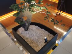 -西村日本料理(香格里拉饭店)