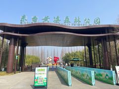 -黄海国家森林公园