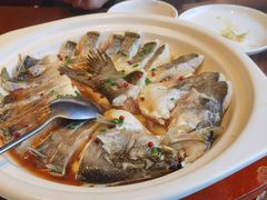 -单家老院·院子里的青岛菜(沙子口店)
