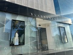 -BLACKSWAN黑天鹅(环球店)