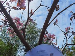 -仙岳公园