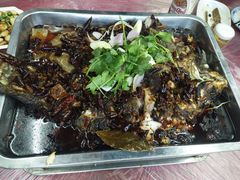 -小舅母子烤鱼(天生城店)