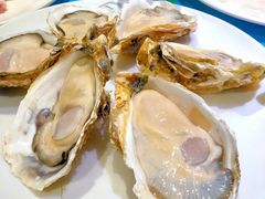 -千岛蚝高压锅生蚝·人参火锅(白云万达店)