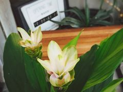 -研途咖啡馆(健康路店)