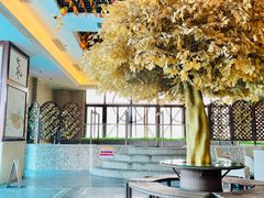 -丰顺宝丰酒店温泉