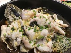 -金汇酒楼(中山东区店)