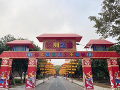 -海上田园