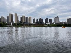 -洋湖国家湿地公园