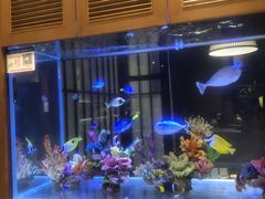 自助取餐区-水之惠鲜鱼料理(王府大街店)