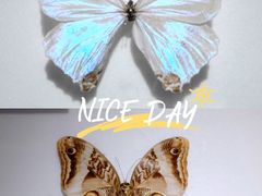 -上海昆虫博物馆