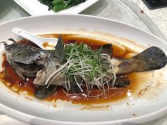 -大东海海鲜酒楼(渔人码头总店)