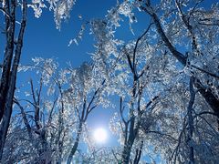 -中旅松花湖滑雪场