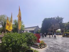 -大槐树寻根祭祖园