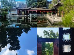 -碧江金楼