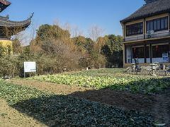 -重元寺香积厨素斋馆