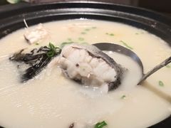 -丹江渔村(望京店)