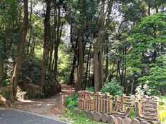 -广州市帽峰山景区