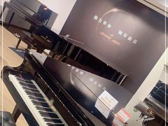 -柏斯琴行(汾阳店)