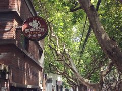 -Boxing Cat Brewery拳击猫精酿啤酒馆(永福店)