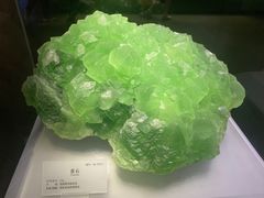 -湖南省地质博物馆