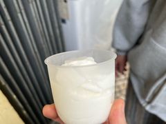 -洪馨椰子