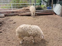 -丽泽山庄·生态怀柔菜·虹鳟鱼(红螺寺店)