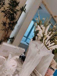 -姜美堂·蒸姜除湿の纤体美颜馆